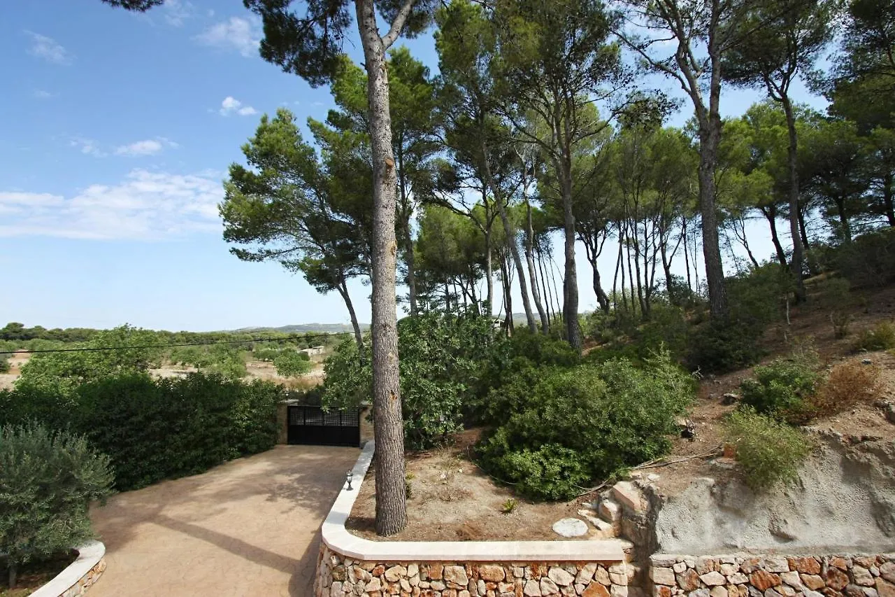 Finca Perello Felanitx 0*,  Spain